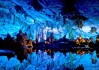 世界保龄球夜赛：城市联赛活跃夜间经济氛围，世界保龄球联合会